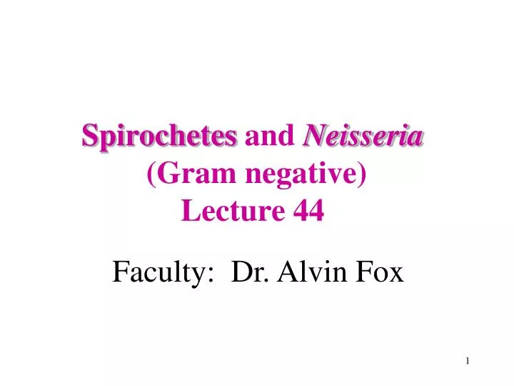spirochetes and neisseria gram negative lecture 44