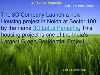 3C Lotus Panache