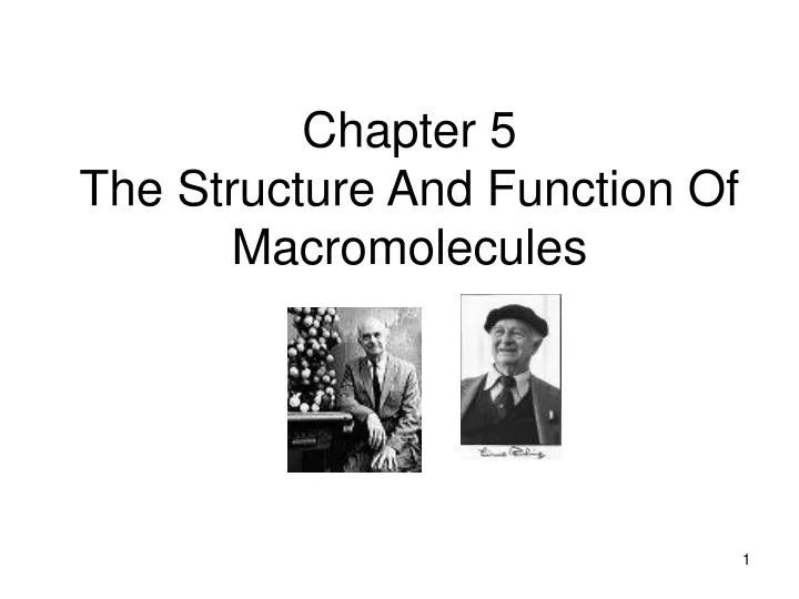 chapter 5 the structure and function of macromolecules