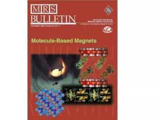 Organic-Based Magnets