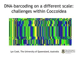 DNA-barcoding on a different scale: challenges within Coccoidea