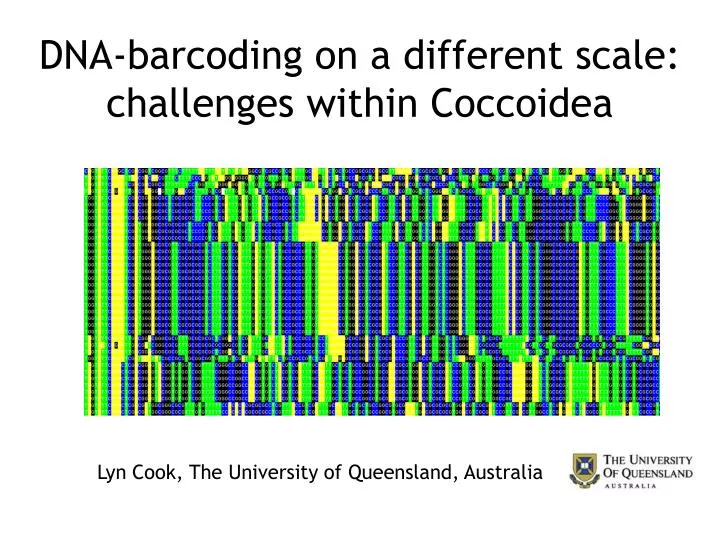 dna barcoding on a different scale challenges within coccoidea