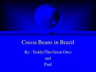 Cocoa Beans in Brazil