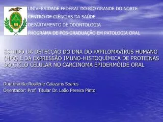 Doutoranda:Rosilene Calazans Soares Orientador: Prof. Titular Dr. Leão Pereira Pinto