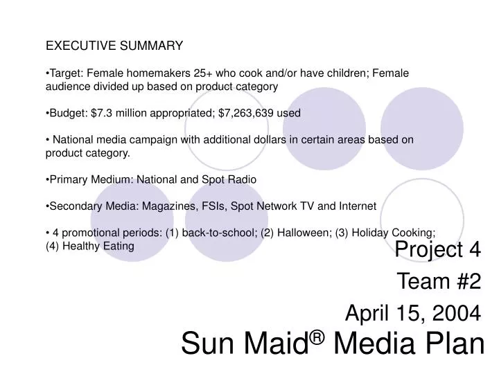 sun maid media plan