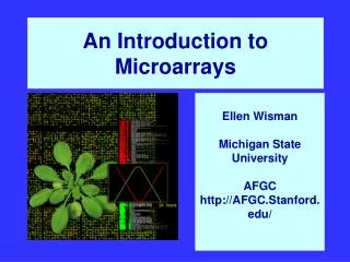 An Introduction to Microarrays