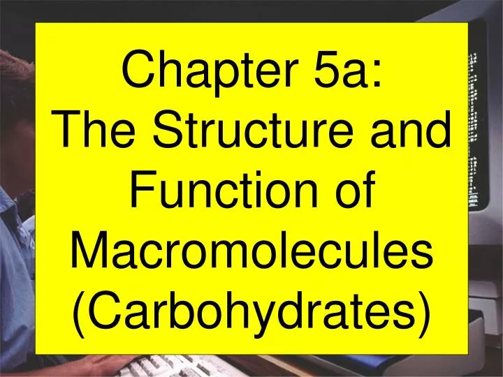 chapter 5a the structure and function of macromolecules carbohydrates