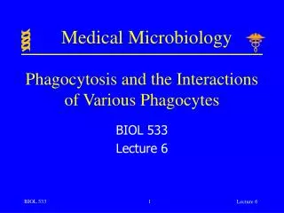 Phagocytosis and the Interactions of Various Phagocytes