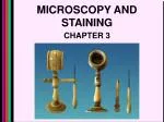 MICROSCOPY AND STAINING - slide 1