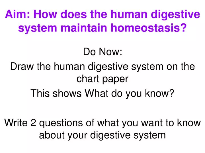 aim how does the human digestive system maintain homeostasis