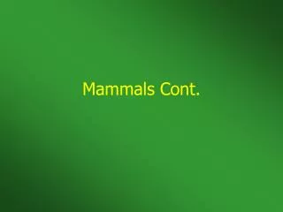 Mammals Cont.