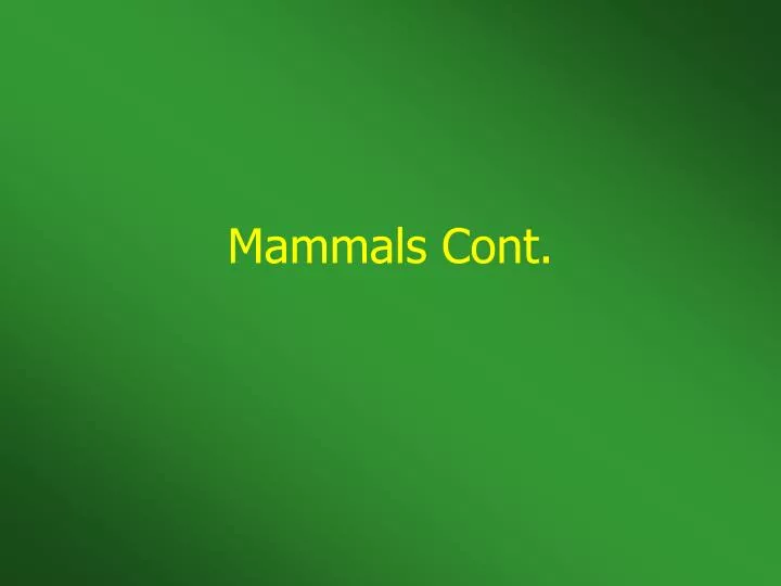 mammals cont