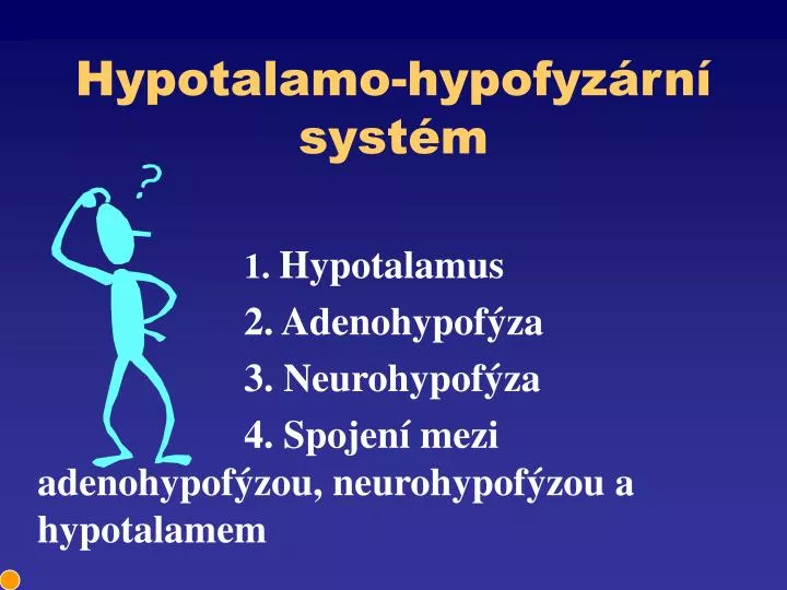 hypotalamo hypofyz rn syst m