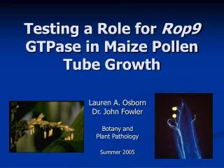 Testing a Role for Rop9 GTPase in Maize Pollen Tube Growth