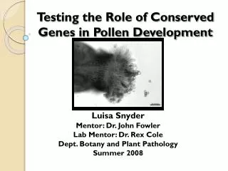 Testing the Role of Conserved Genes in Pollen Development