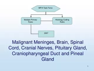 Malignant Meninges, Brain, Spinal Cord, Cranial Nerves, Pituitary Gland, Craniopharyngeal Duct and Pineal Gland
