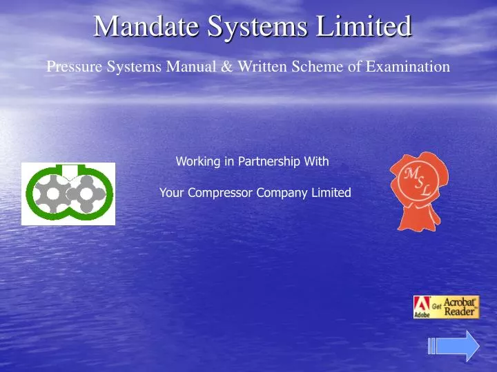 mandate systems limited
