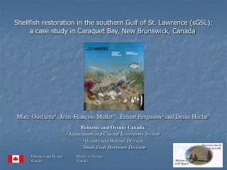 Shellfish restoration in the southern Gulf of St. Lawrence (sGSL): a case study in Caraquet Bay, New Brunswick, Canada