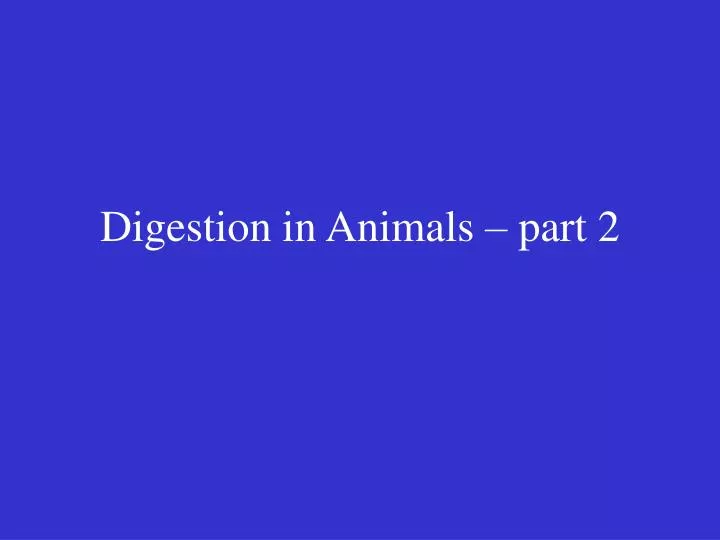 digestion in animals part 2
