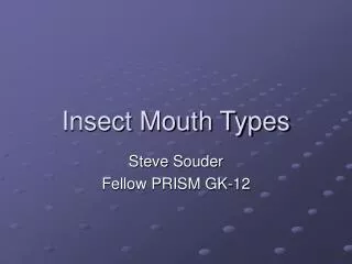 Insect Mouth Types