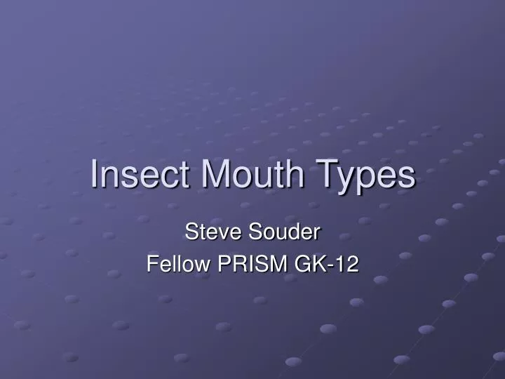 insect mouth types