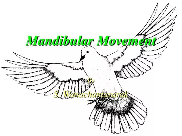 mandibular movement