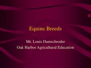 Equine Breeds