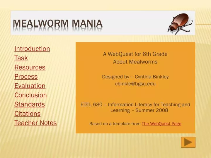 mealworm mania