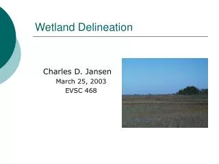 Wetland Delineation