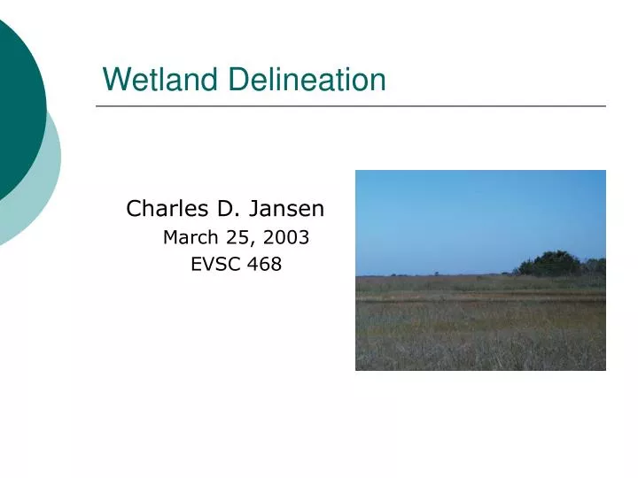 wetland delineation