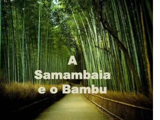 A Samambaia e o Bambu