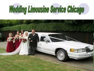 Wedding Limousine Service Chicago