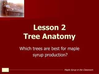 Lesson 2 Tree Anatomy