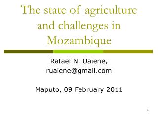 The state of agriculture and challenges in Mozambique