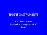 BRUINS INSTRUMENTS - slide 1