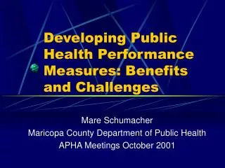 Developing Public Health Performance Measures: Benefits and Challenges
