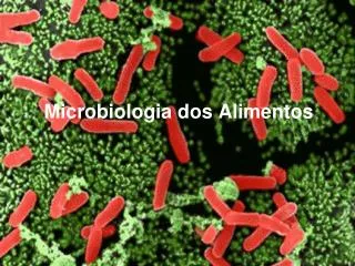 Microbiologia dos Alimentos