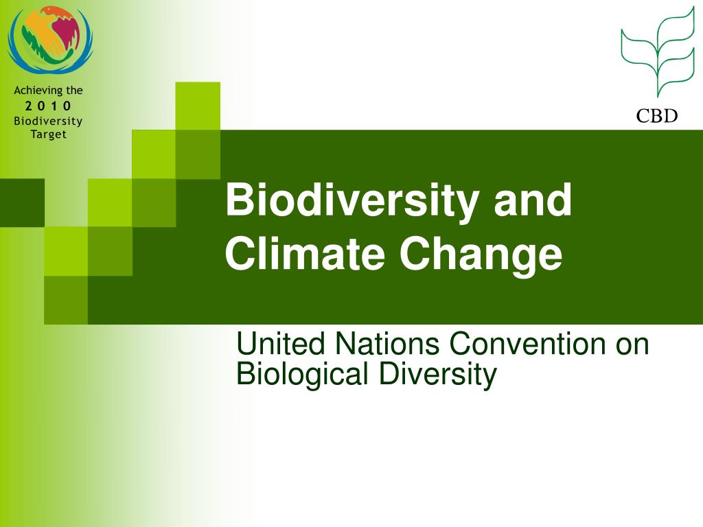 PPT - Biodiversity and Climate Change PowerPoint Presentation, free ...