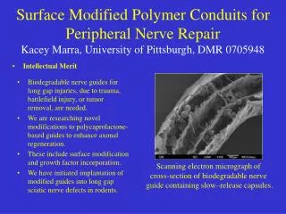 Surface Modified Polymer Conduits for Peripheral Nerve Repair Kacey Marra, University of Pittsburgh, DMR 0705948