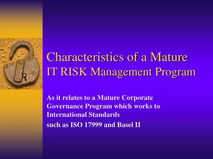 characteristics of a mature it risk management program