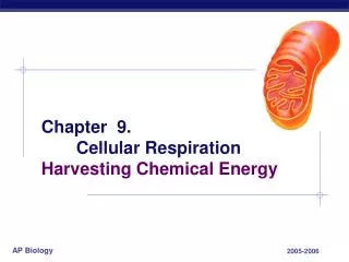 Chapter 9. 	Cellular Respiration Harvesting Chemical Energy