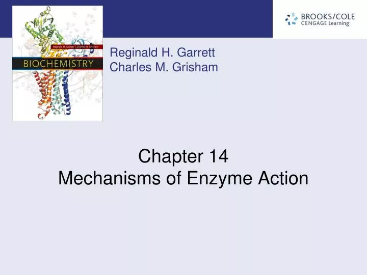 chapter 14 mechanisms of enzyme action