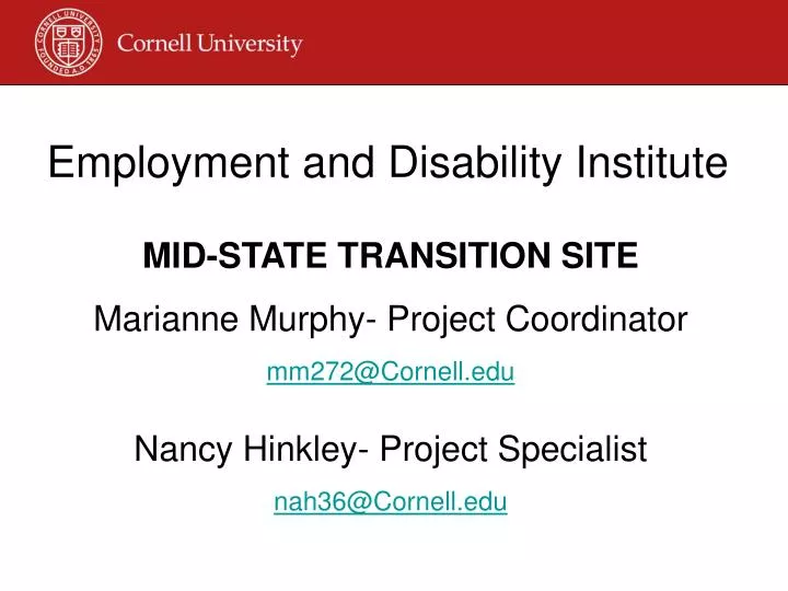 employment and disability institute