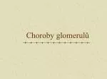 Choroby glomerulů - slide 1