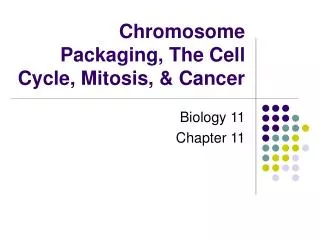 Chromosome Packaging, The Cell Cycle, Mitosis, &amp; Cancer