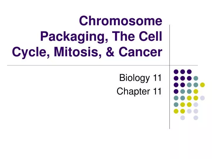 chromosome packaging the cell cycle mitosis cancer