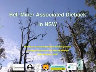 Bell Miner Associated Dieback in NSW Bell Miner Associated Dieback Working Group c/o Dept Environment and Climate Chang