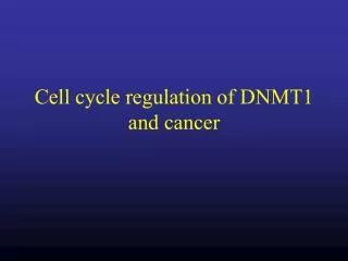 Cell cycle regulation of DNMT1 and cancer