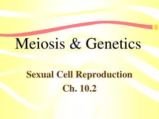 Meiosis &amp; Genetics