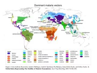 Dominant malaria vectors